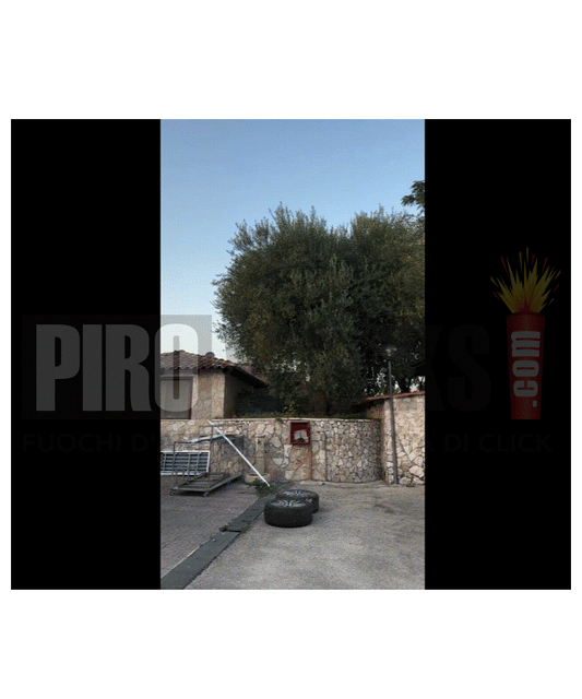 Fetta | Boy or Girl | 10 Colpi | Fumata Rosa/Celeste | Con Miccia