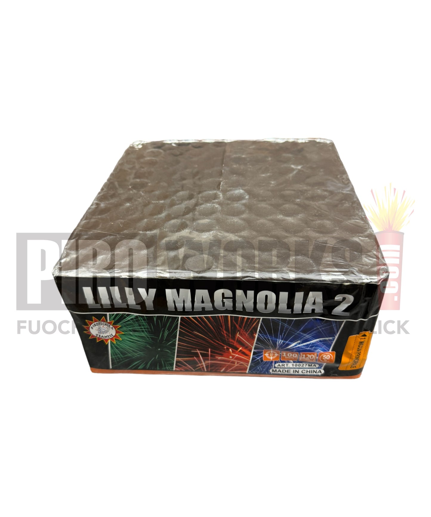 Lilly Magnolia 2 | 100 Hits | 20mm