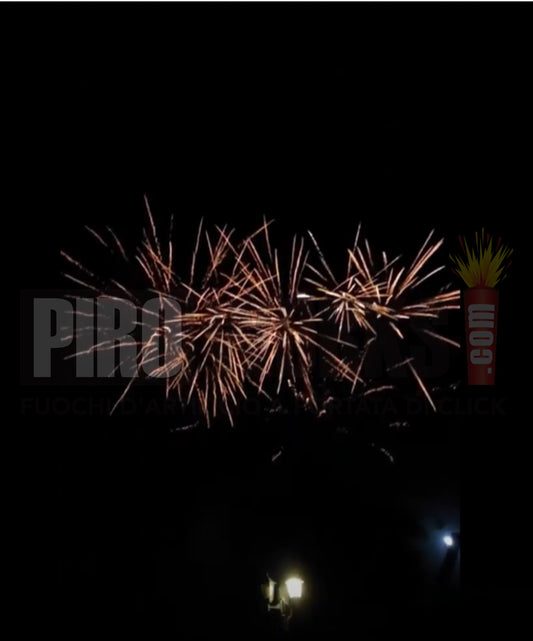 Fun Fuel | 100 Colpi | Ventaglio | Salice Oro