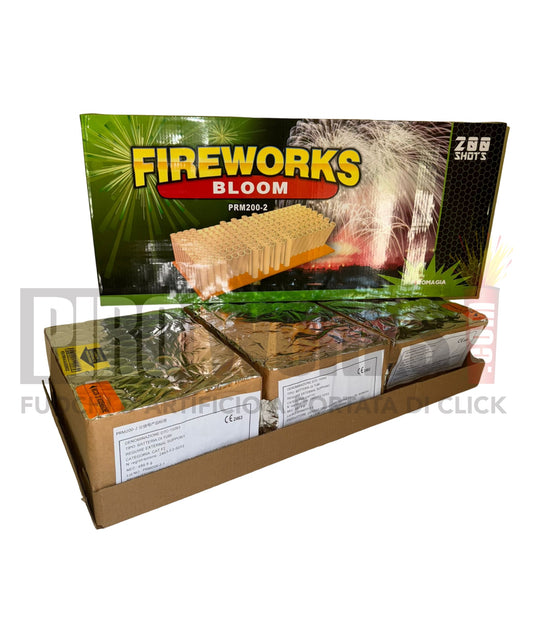 Fireworks Bloom | 200 Shots | Straight and Fan