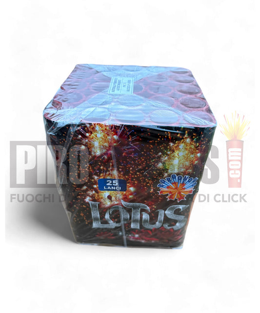 Lotus | 25 Colpi | 30mm | Borgonovo