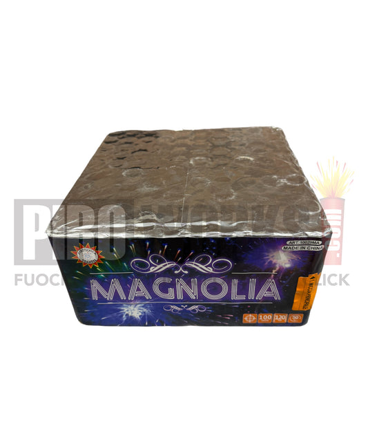 Magnolia | 100 Colpi | 20mm
