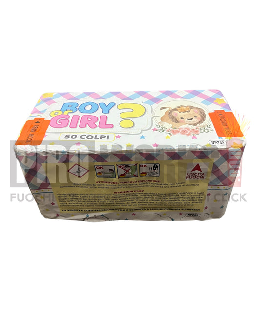 Boy or Girl ? | 50 Colpi | 25mm | Celeste | Leoncino