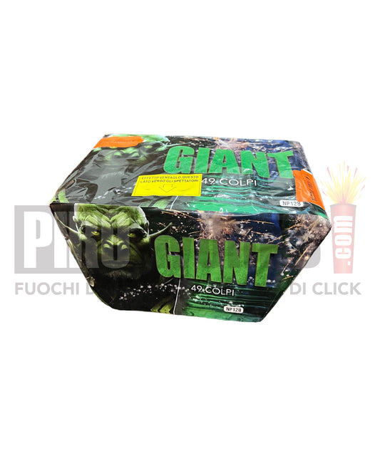 Giant | 49 Colpi | 20mm | Spacchi Salice Oro