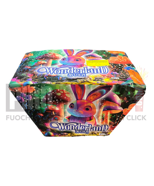 Wonderland | 36 Colpi | Ventaglio | 30mm