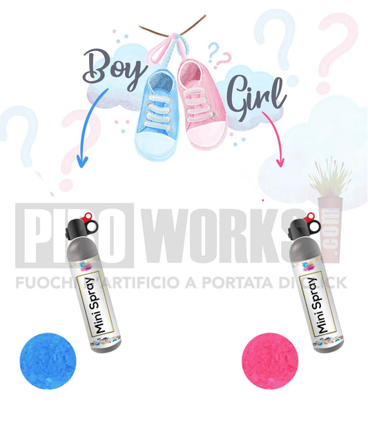 Baby Shower | Boy or Girl | Bomboletta Holi Spray | Polvere Celeste o Rosa