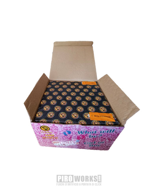 Baby Shower | Boy or Girl 400 Colpi GIRL