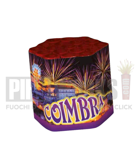 Amalfi 49 Rounds 22mm