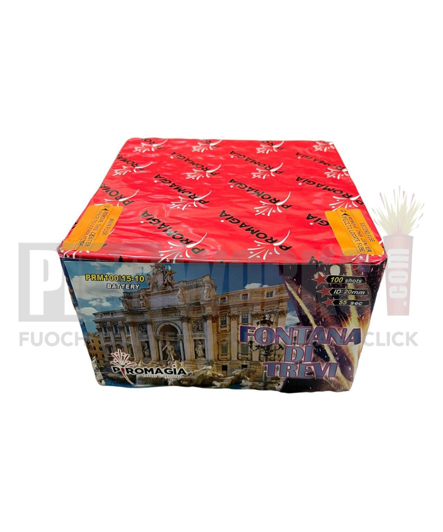 Trevi Fountain 100 Shots