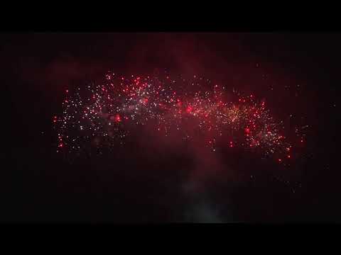 Shark 100 Shots 25mm