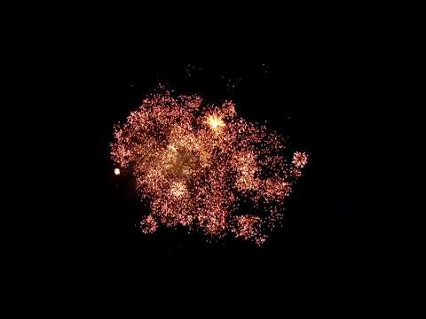 Super Rose 100 Shots 30mm