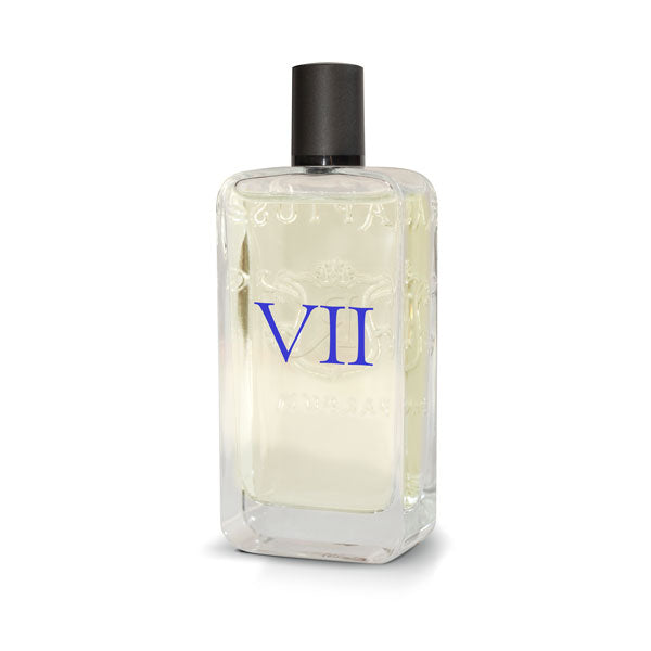 Perfume | 100ml | Raptus VII - Scent Intense by Costume National