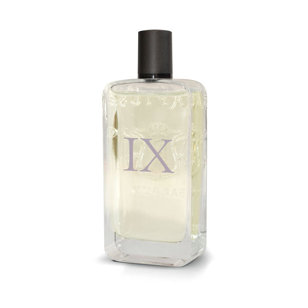 Perfume | 100ml | Raptus IX - Creed's Aventus