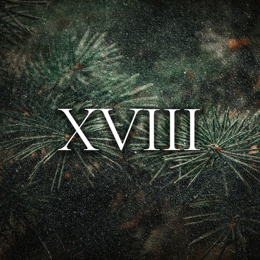 Profumo | 100 ml | Raptus XVIII - Zeta di Morph