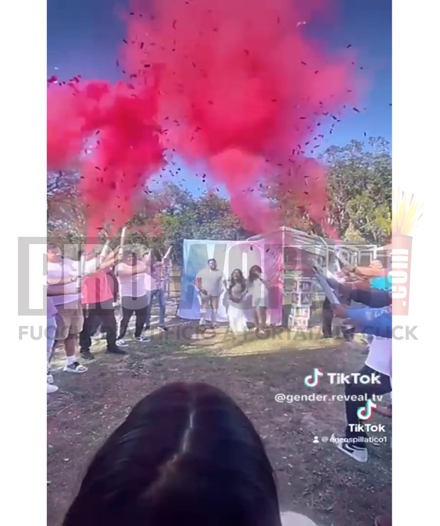 Spara Polvere | Gender Reveal | Fumo Rosa o Celeste