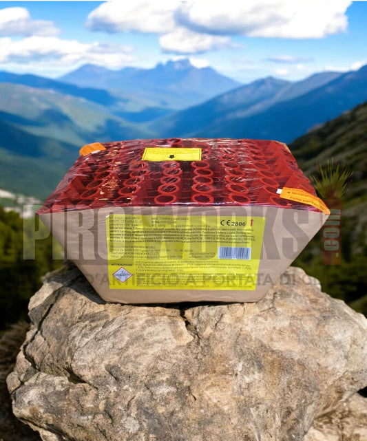 AC07Z72 | 72 Colpi | 25mm | Ventaglio | Salice Oro