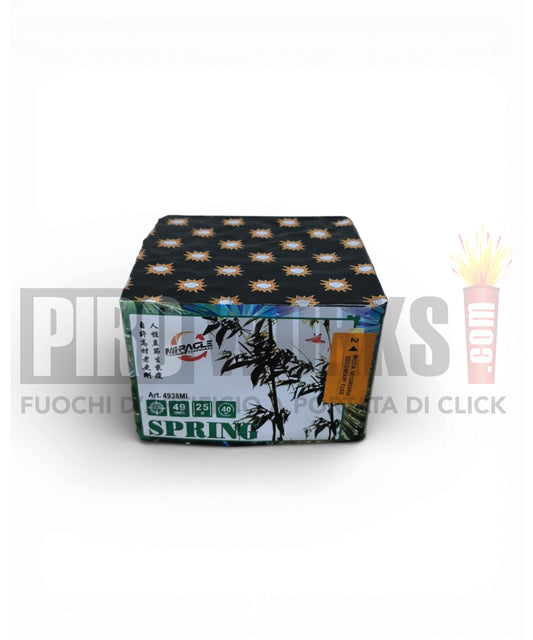 Spring | 49 Colpi | 20mm | Teanese