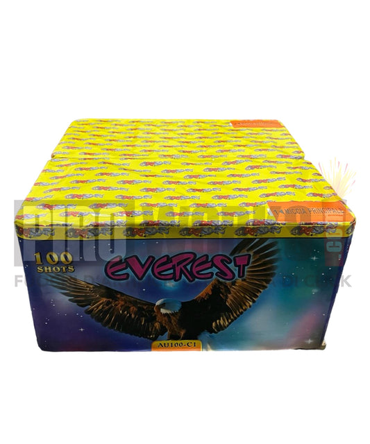 Everest | 100 Hits | 25mm | Golden Willow