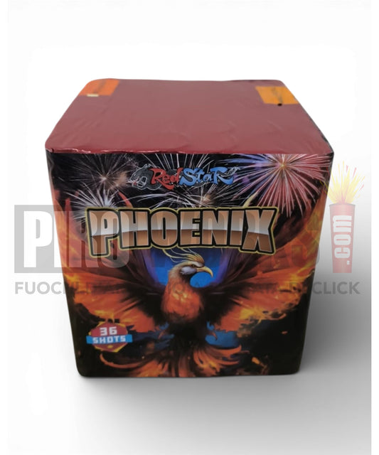 Phoenix | 36 Colpi | 30mm | Dritta
