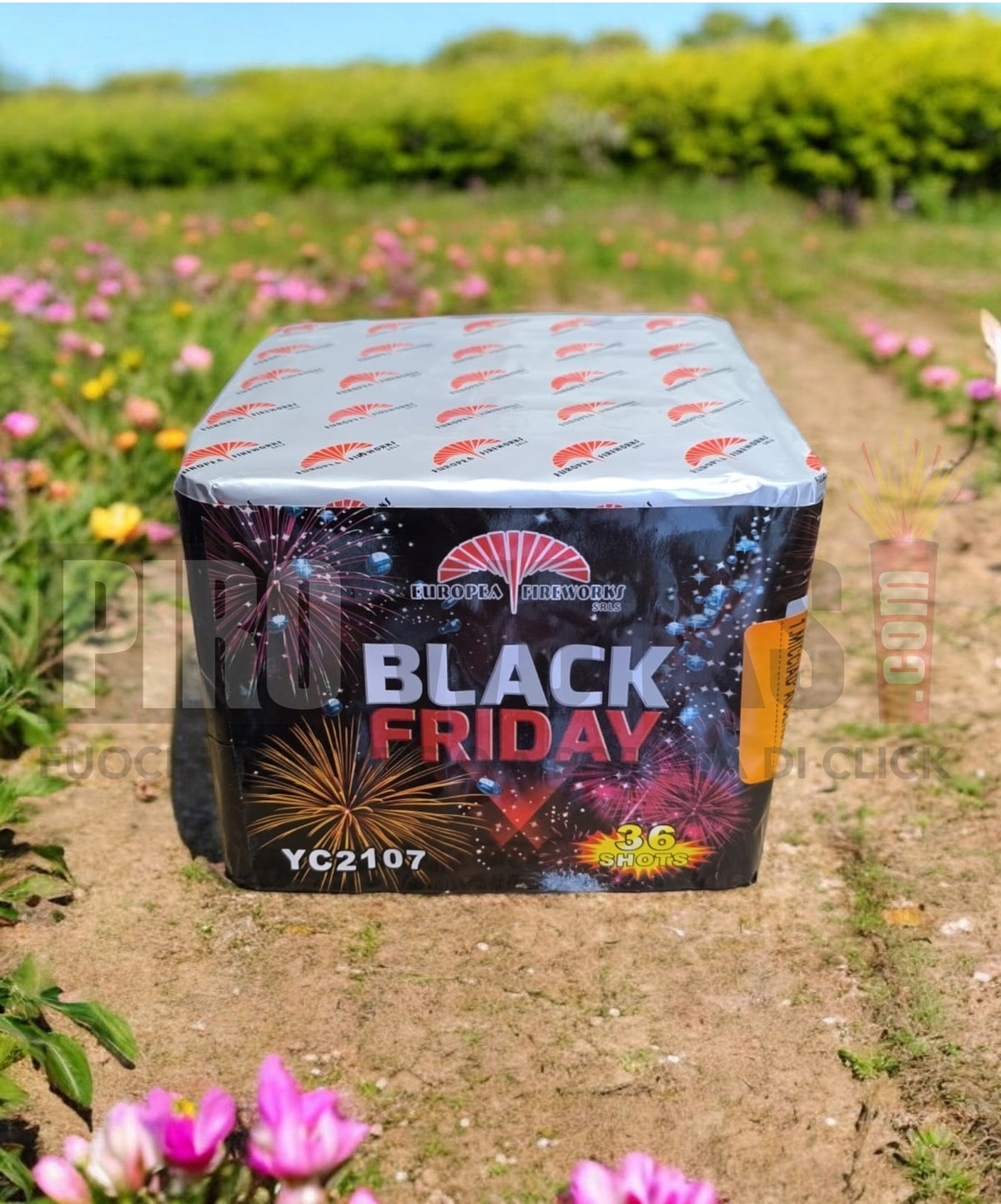 Black Friday | 36 Colpi | 25mm