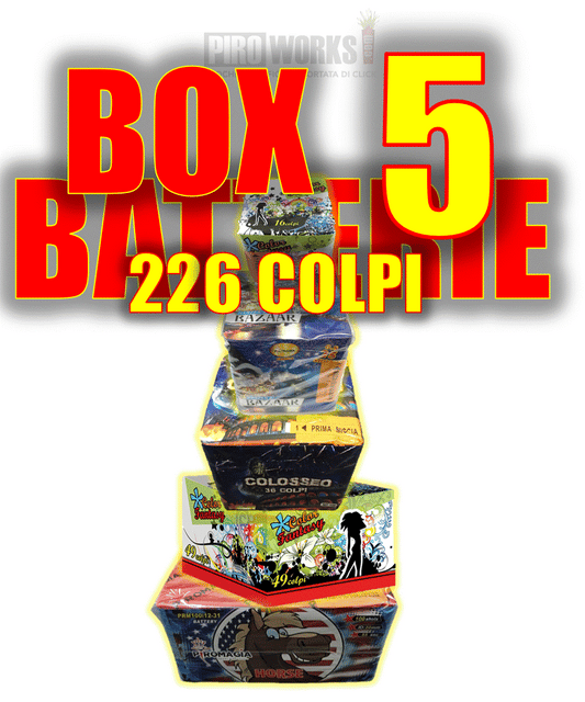 BOX da 5 Batterie Assortite