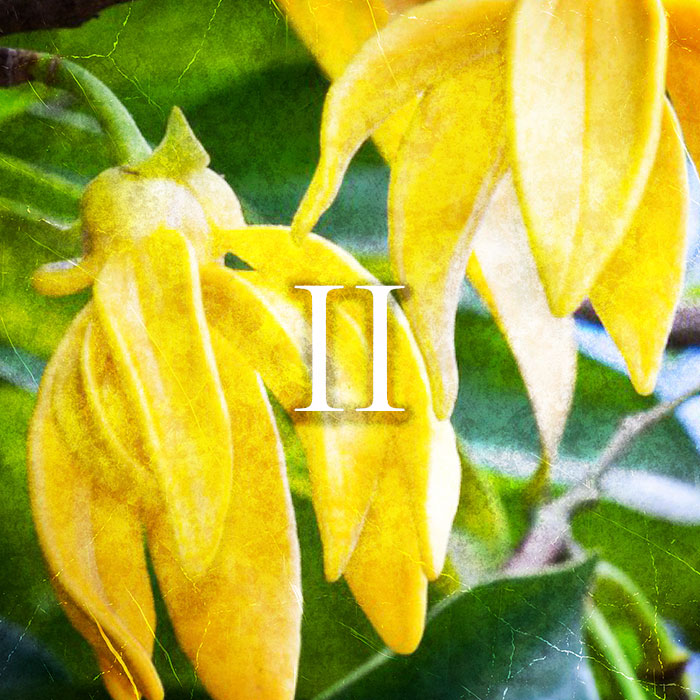 Profumo | 20 ml | Raptus II - Bois D’Argent di Christian Dior