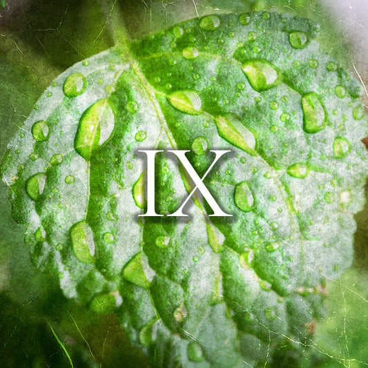 Profumo | 100 ml | Raptus IX - Aventus di Creed