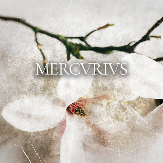 Profumo Intenso | 50 ml | Mercvrivs - Red Tobacco di Mancera