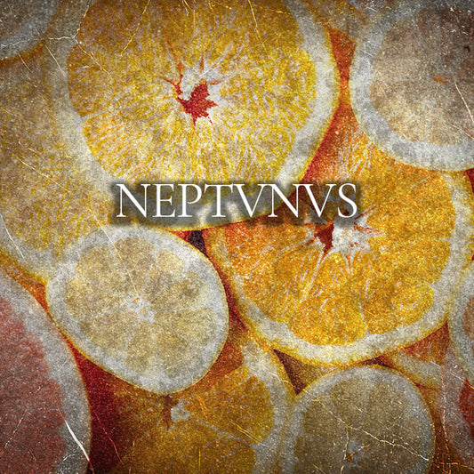 Profumo Intenso | 50 ml | Neptvnvs - Vapor di Morph Parfum