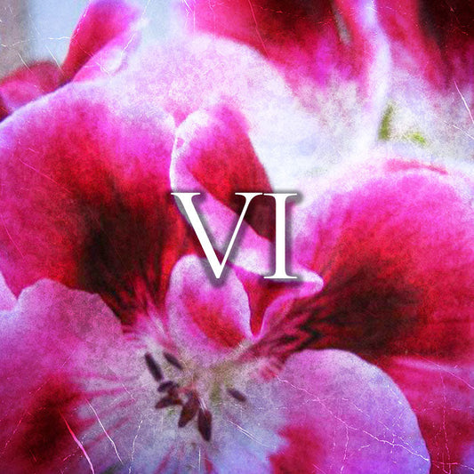 Profumo | 20 ml | Raptus VI - For Her di Narciso Rodriguez