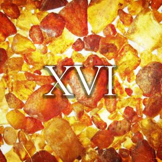 Perfume | 20ml-100ml | Raptus XVI - Chloé by Chloé