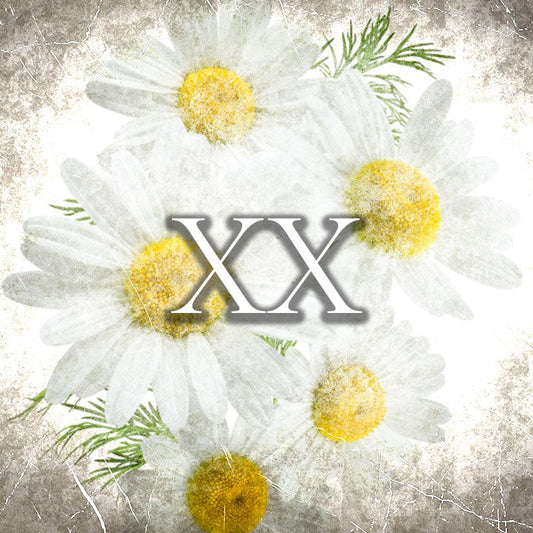 Perfume | 20ml-100ml | Raptus XX - Salt Water by Profumum Roma