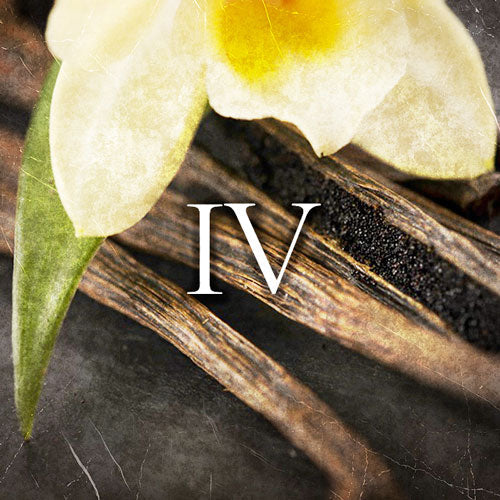 Perfume | 20ml-100ml | Raptus IV - Hypnotic Poison by Christian Dior