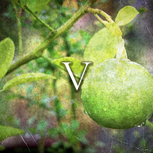 Perfume | 100ml | Raptus V - One Million by Paco Rabanne