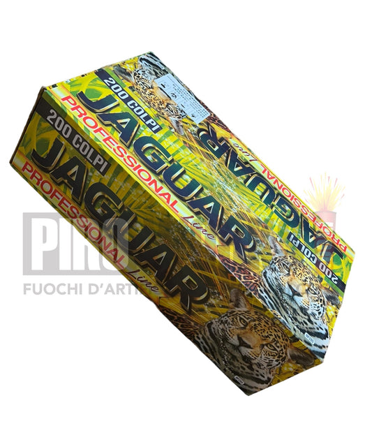 Jaguar | 200 Colpi | 25mm | Dritta e Ventaglio
