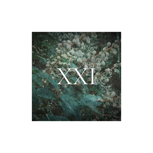 Perfume | 20ml-100ml | Raptus XX - Salt Water by Profumum Roma