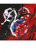 Kit | Piatto | Bicchiere  | Tovagliolo | Tovaglia | Spiderman