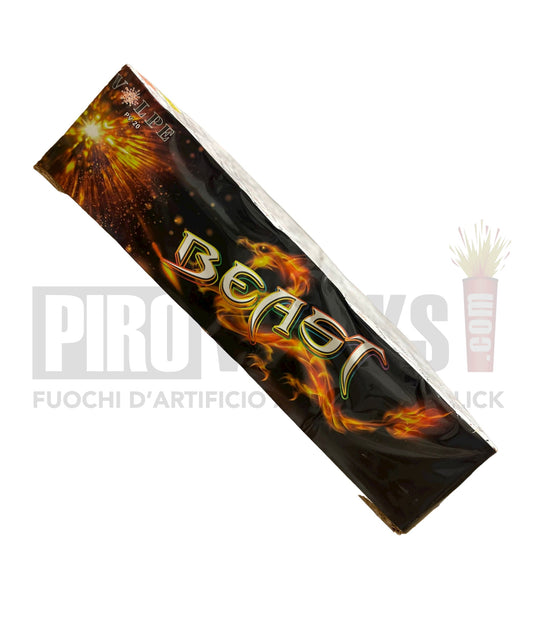 Works Leonardo Da Vinci 600 Shots 