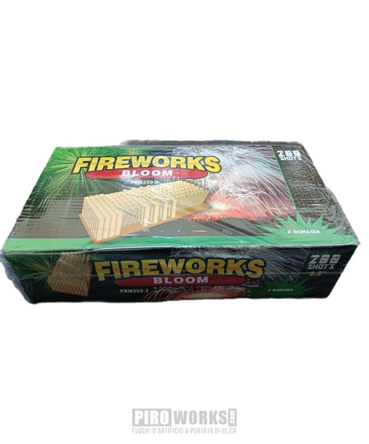 Fireworks Bloom 200 Colpi Dritto e Ventaglio