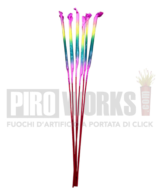 Morning Glory | 6 Pz