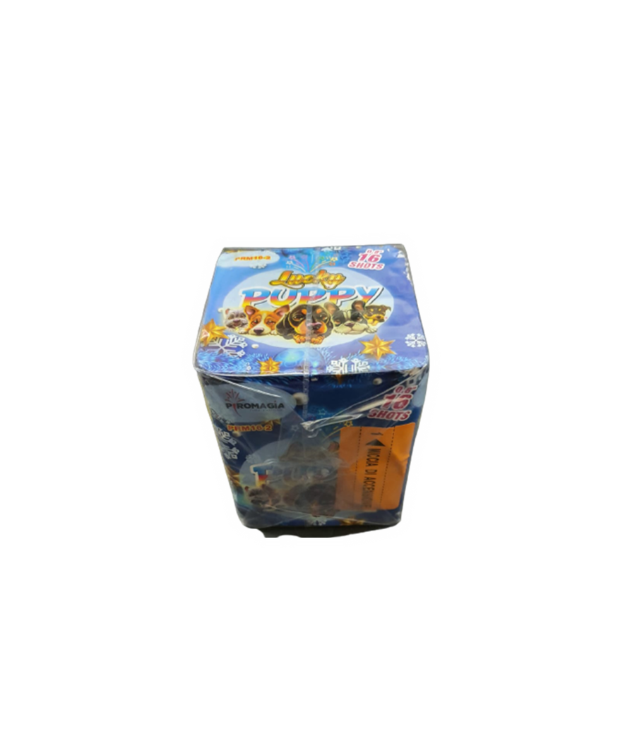 BOX da 3 Batterie da 16 Colpi