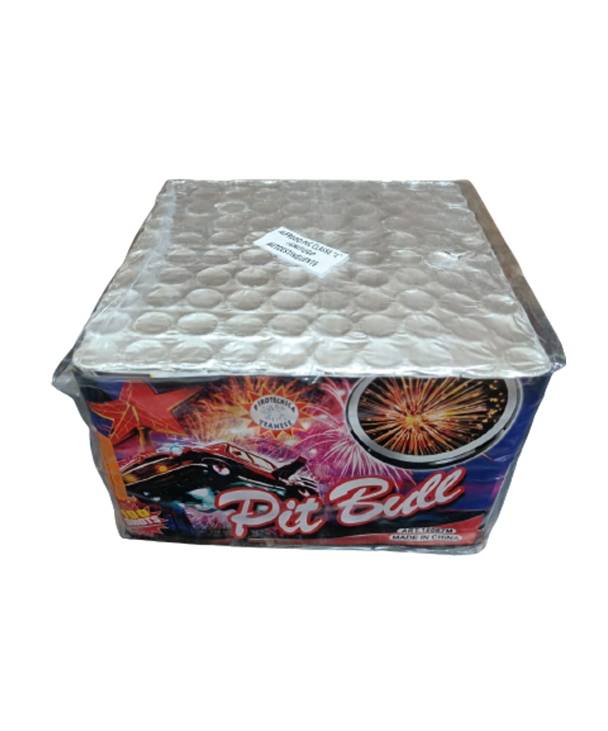 Pit bull 100 Colpi Alto