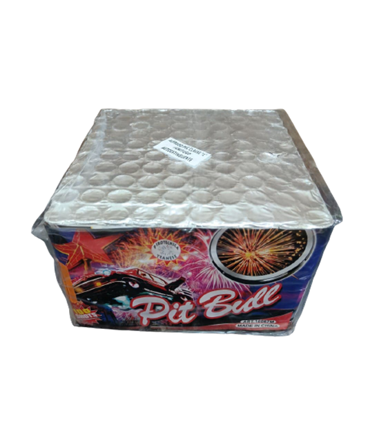 Pit bull 100 Colpi Alto