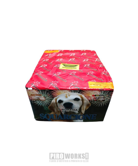 Squarcione 100 Straight and Fan Shots