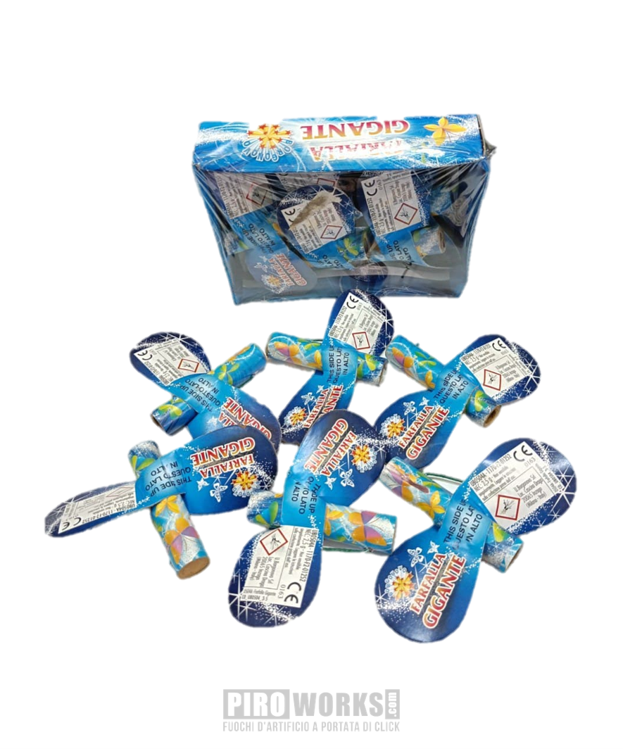 Farfalla Gigante | Borgonovo | 6 Pz