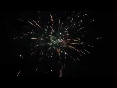 Squarcione 100 Straight and Fan Shots