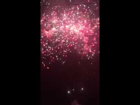 Bounty 49 Rounds 30mm